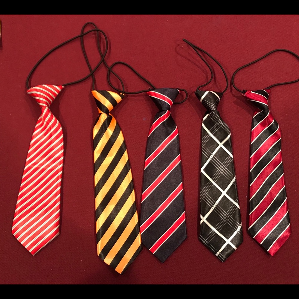 5 Boys elastic neckties